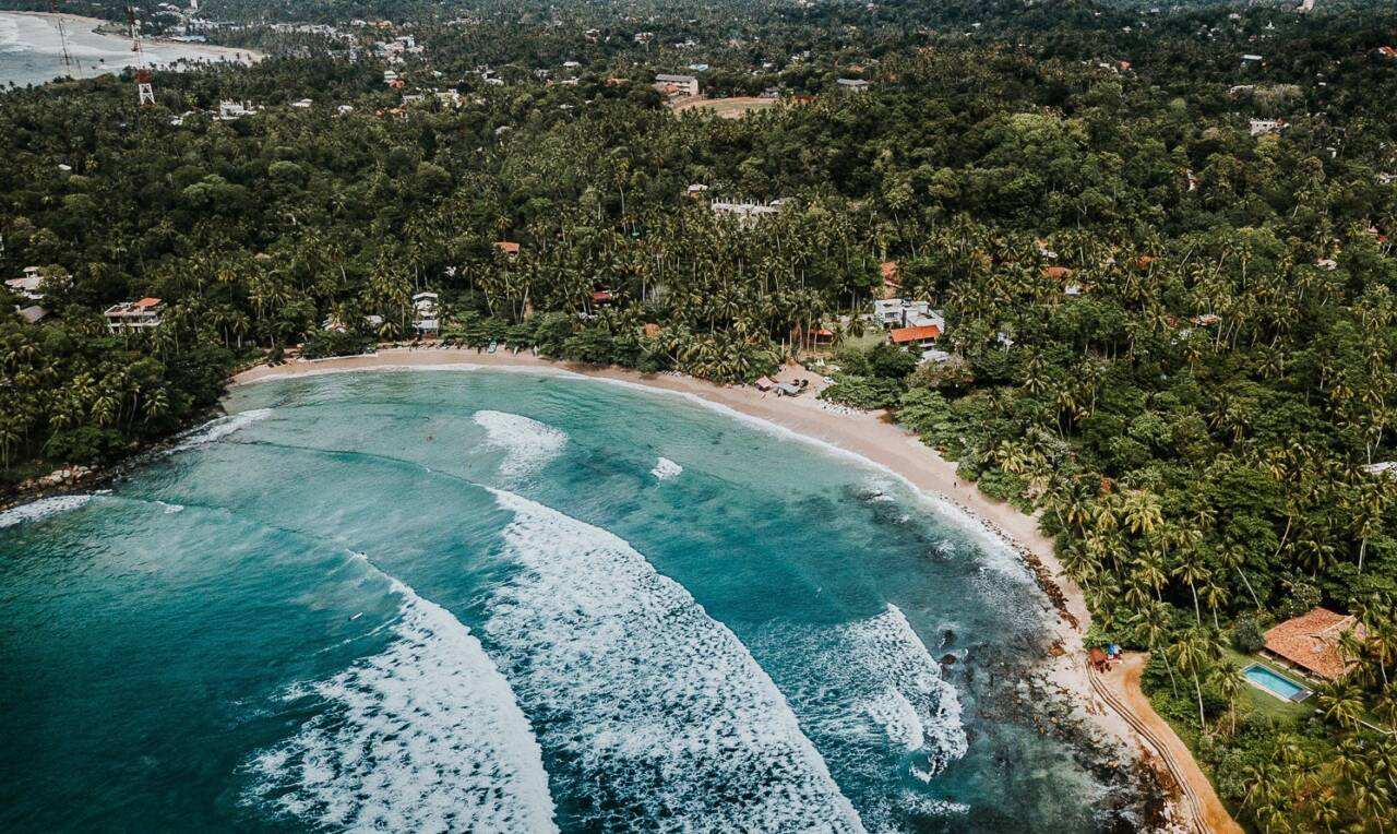 The_Common_Wanderer_Sri_Lanka_IG-2